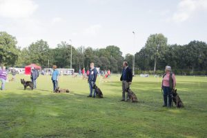 gedragstest, nhc, sociale test, nestendag, keuring, hollandse herder